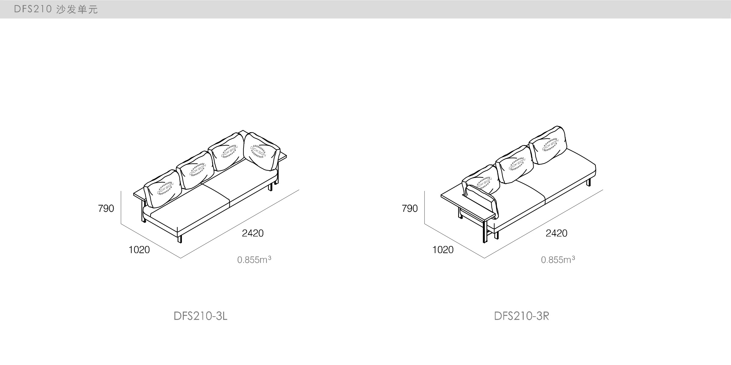 迪信家具-specification-ch-DFS210